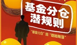 和平基金最新爆料,深度解析国际和平发展新动向